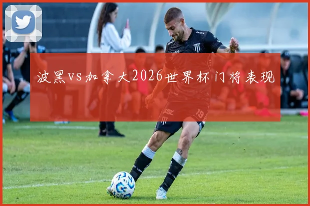 波黑vs加拿大2026世界杯门将表现