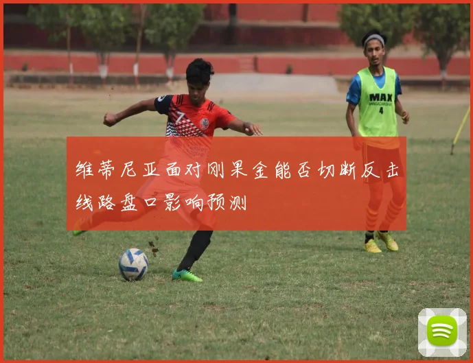 维蒂尼亚面对刚果金能否切断反击线路盘口影响预测